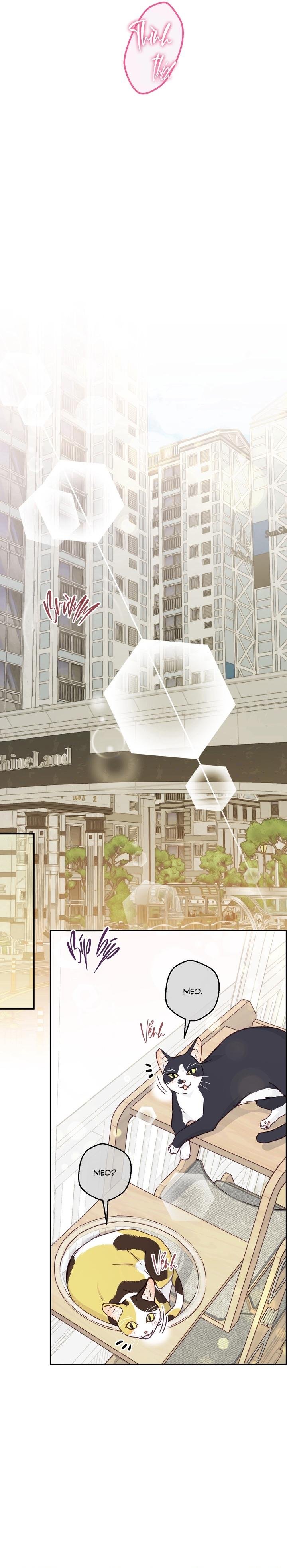 bạn trai vô song của tôi Chapter 35 NT3 H+ 11