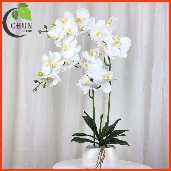 Chậu hoa giả lan hồ điệp để bàn 2 nhánh cao 60cm trang trí nhà cửa, bàn làm việc, kệ tủ siêu đẹp CL3