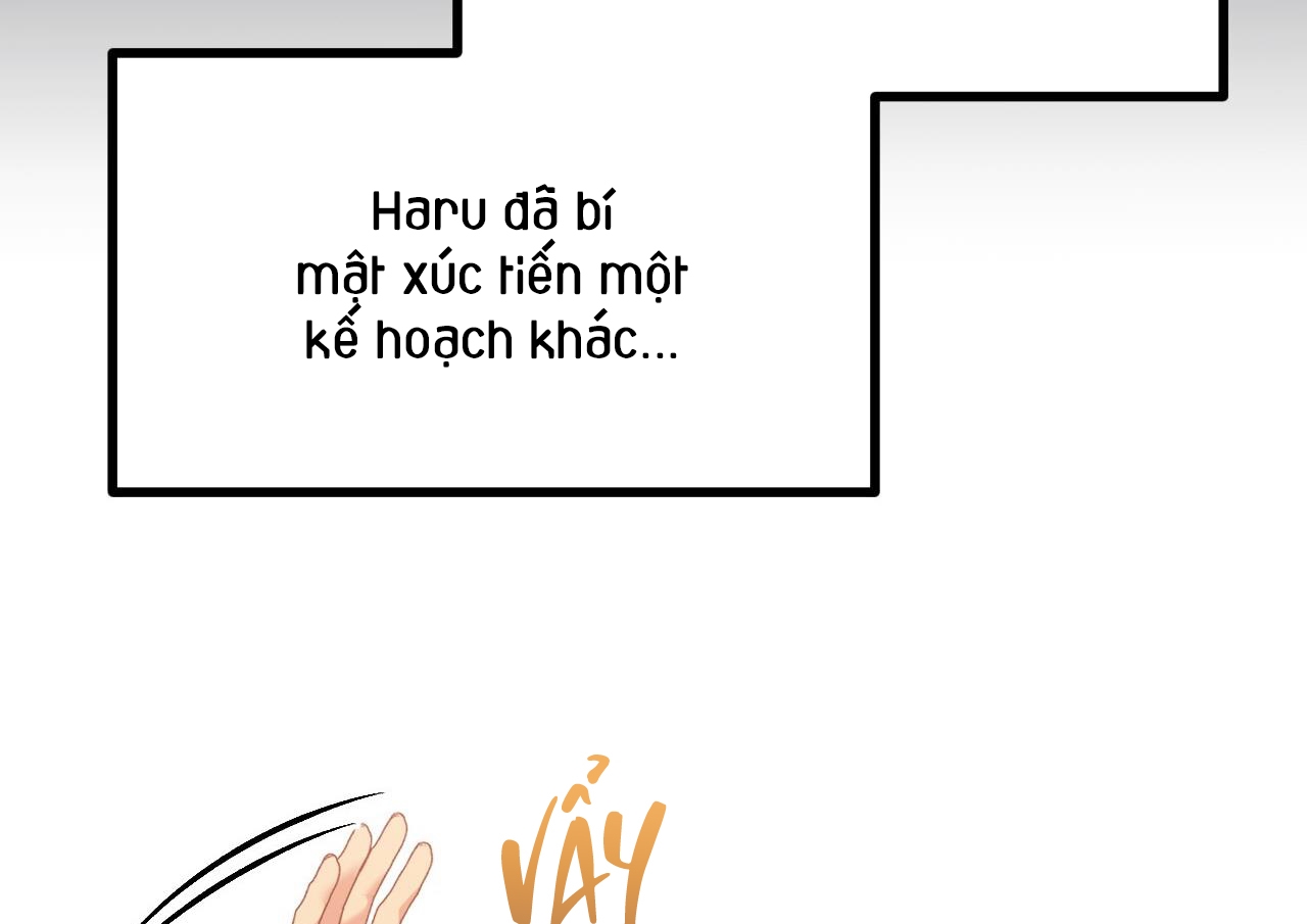 những chú thỏ của hapypy chapter 63 93