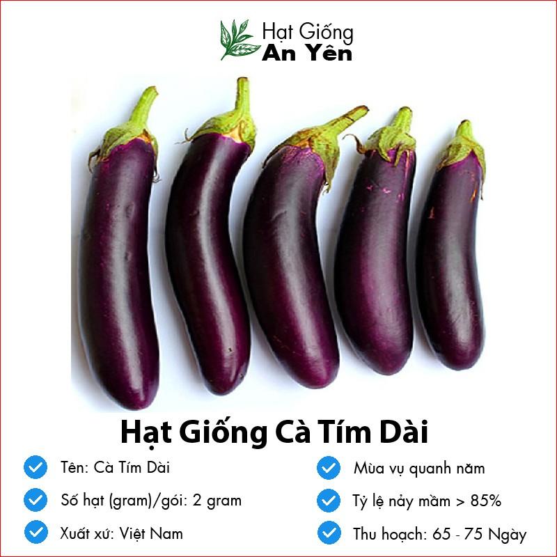 Hạt giống Cà Tím Dài thu hoạch sớm, dễ trồng, nảy mầm cao, sinh trưởng khoẻ