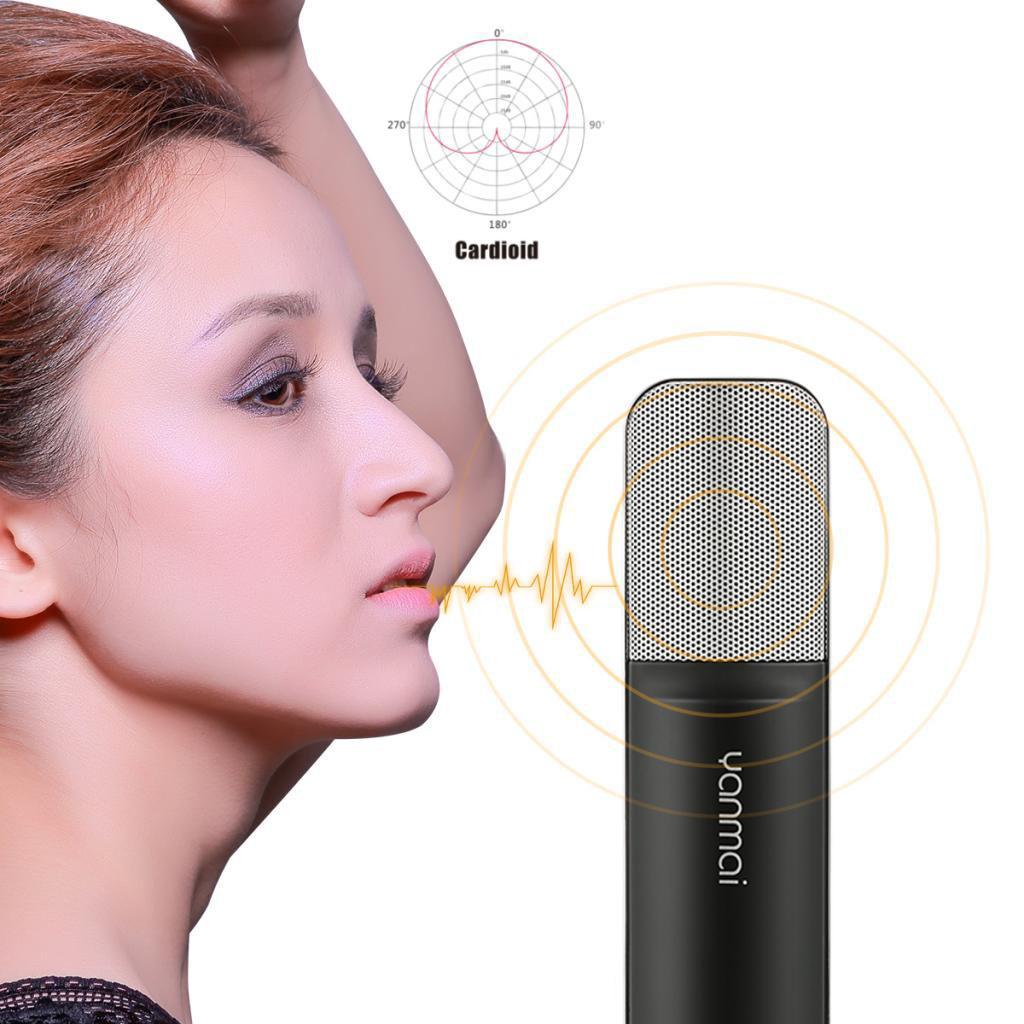Professional Condenser Studio Broadcast & Recording Microphone +Shock Mount