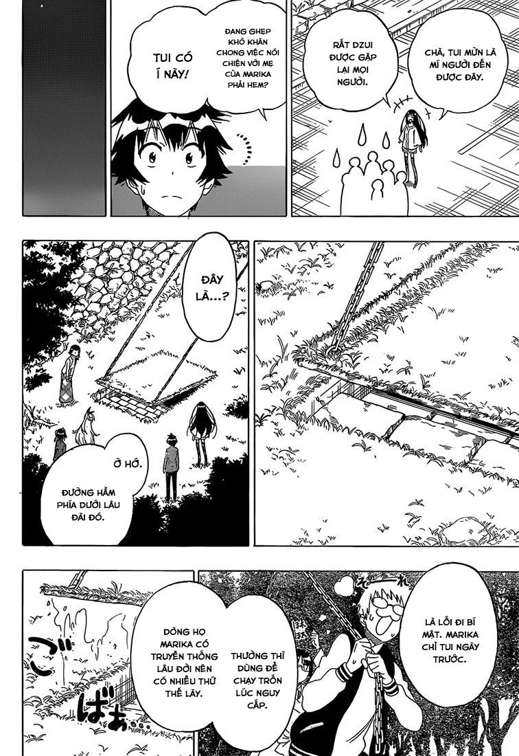 nisekoi - tình yêu giả tạo chapter 184 9