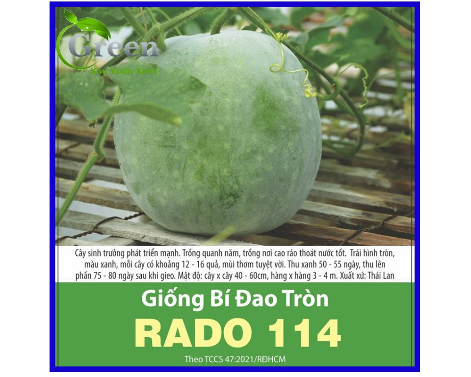 Bí đao tròn Rd