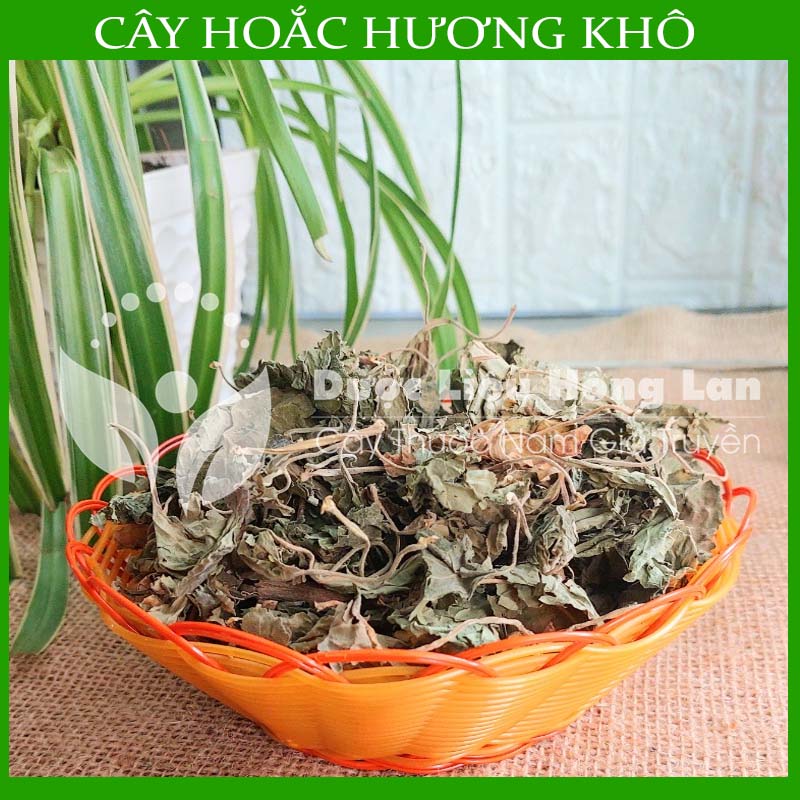 Cây hoắc hương khô sạch đóng gói 1kg