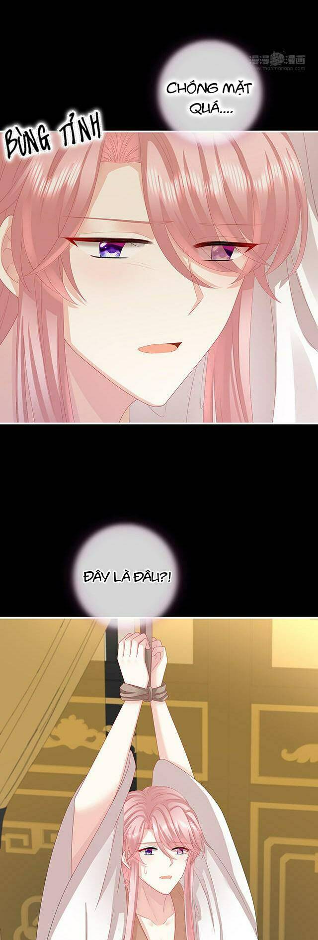 kiều phu có hỉ chapter 30.2 5