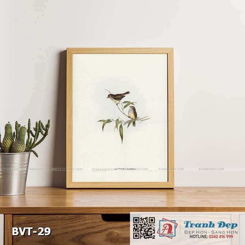 Tranh canvas vintage - Chim sẻ  - BVT-29
