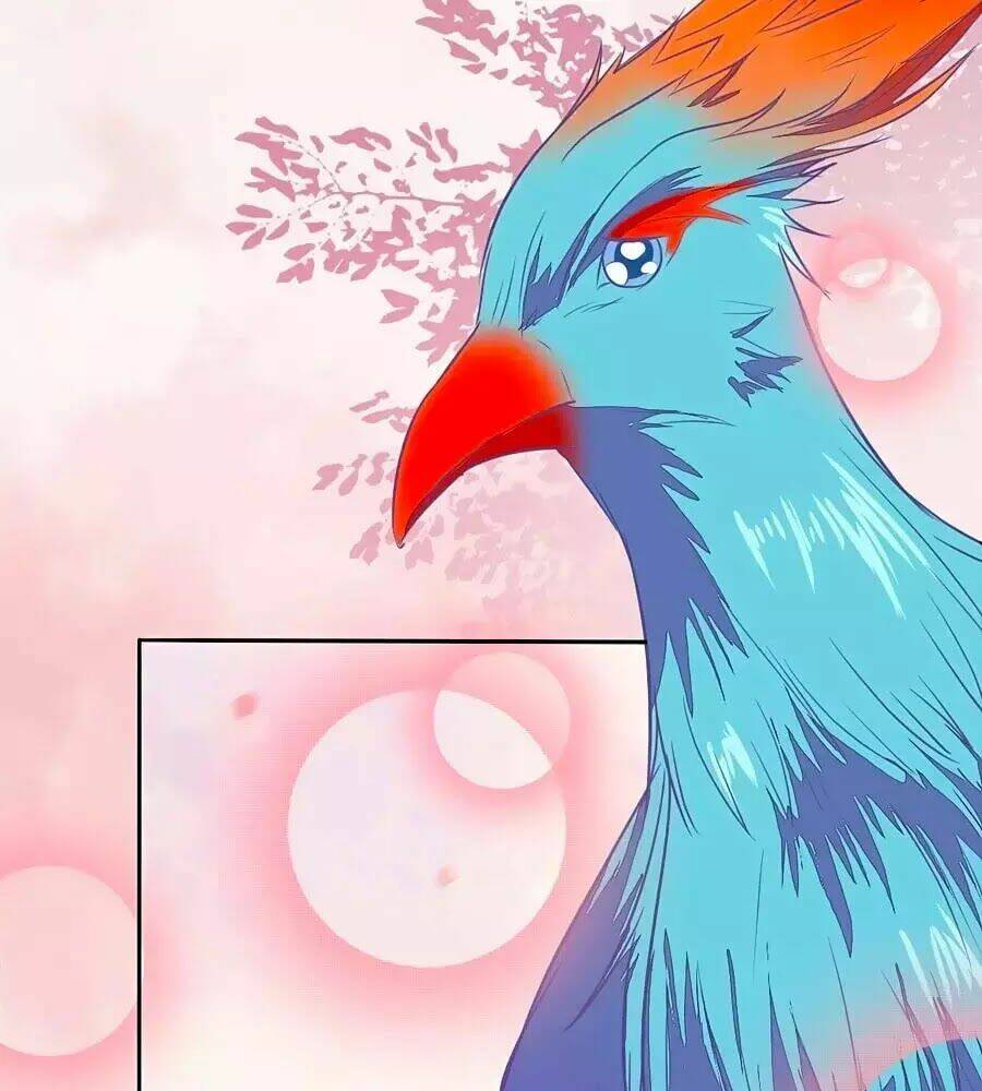 thần y khí nữ: ngự thú cuồng phi của quỷ đế chapter 70 16