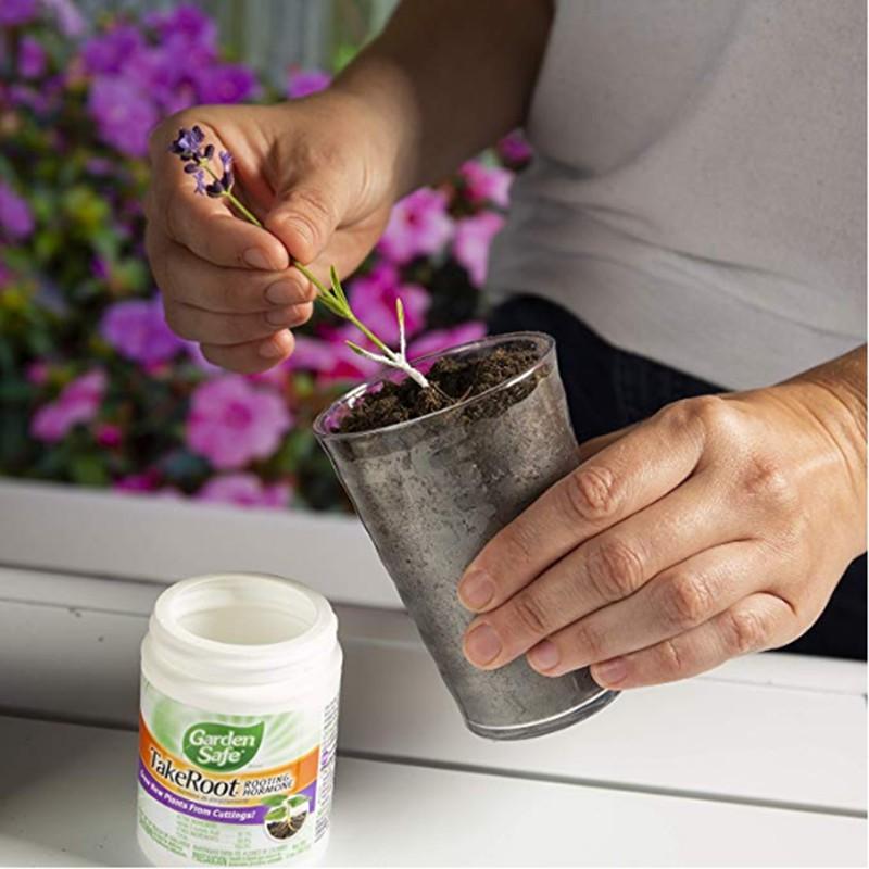 Bột kích rễ giâm cành - USA - Garden safe TakeRoot - hormone dạng bột siêu kích rể