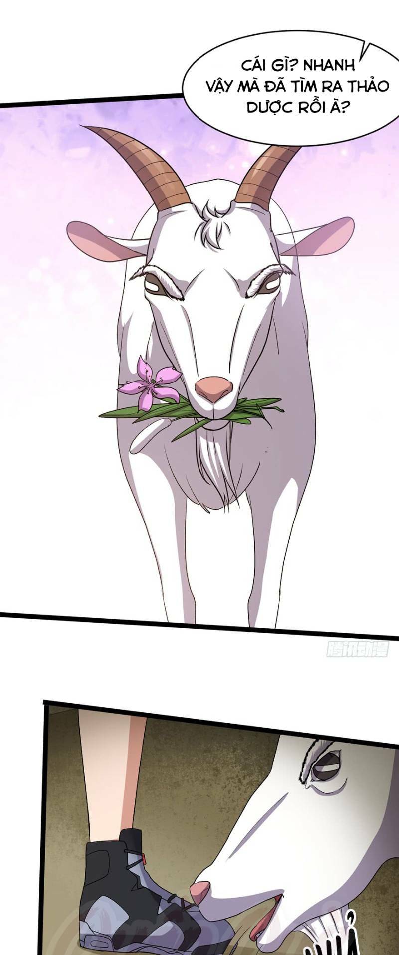 thập nhị thiên kiếp chapter 24 29