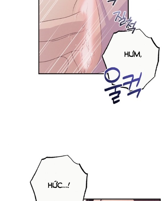 [18+] người vợ quyến rũ chapter 14.1 15