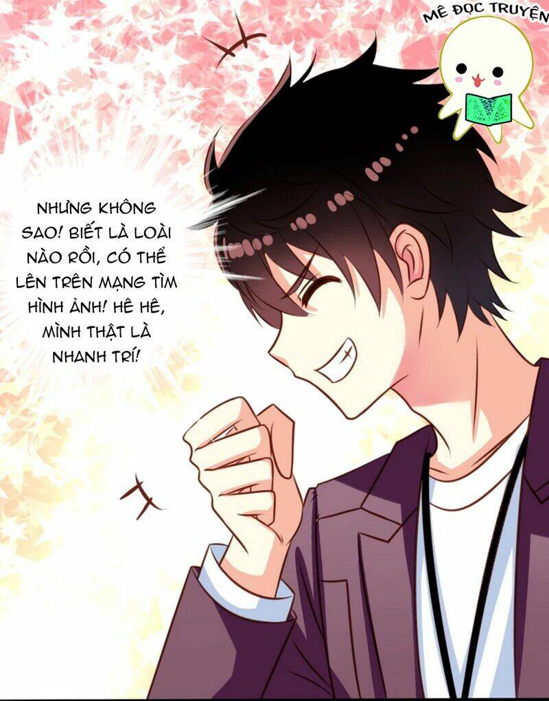 ông chủ của tôi là yêu quái chapter 34 16