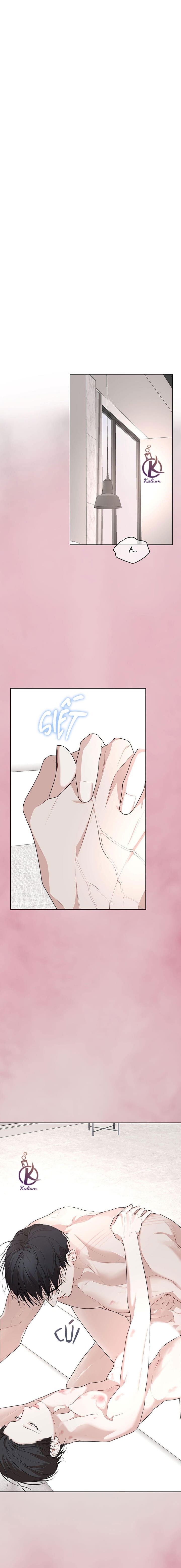 hình thái khởi sinh chapter 70 1