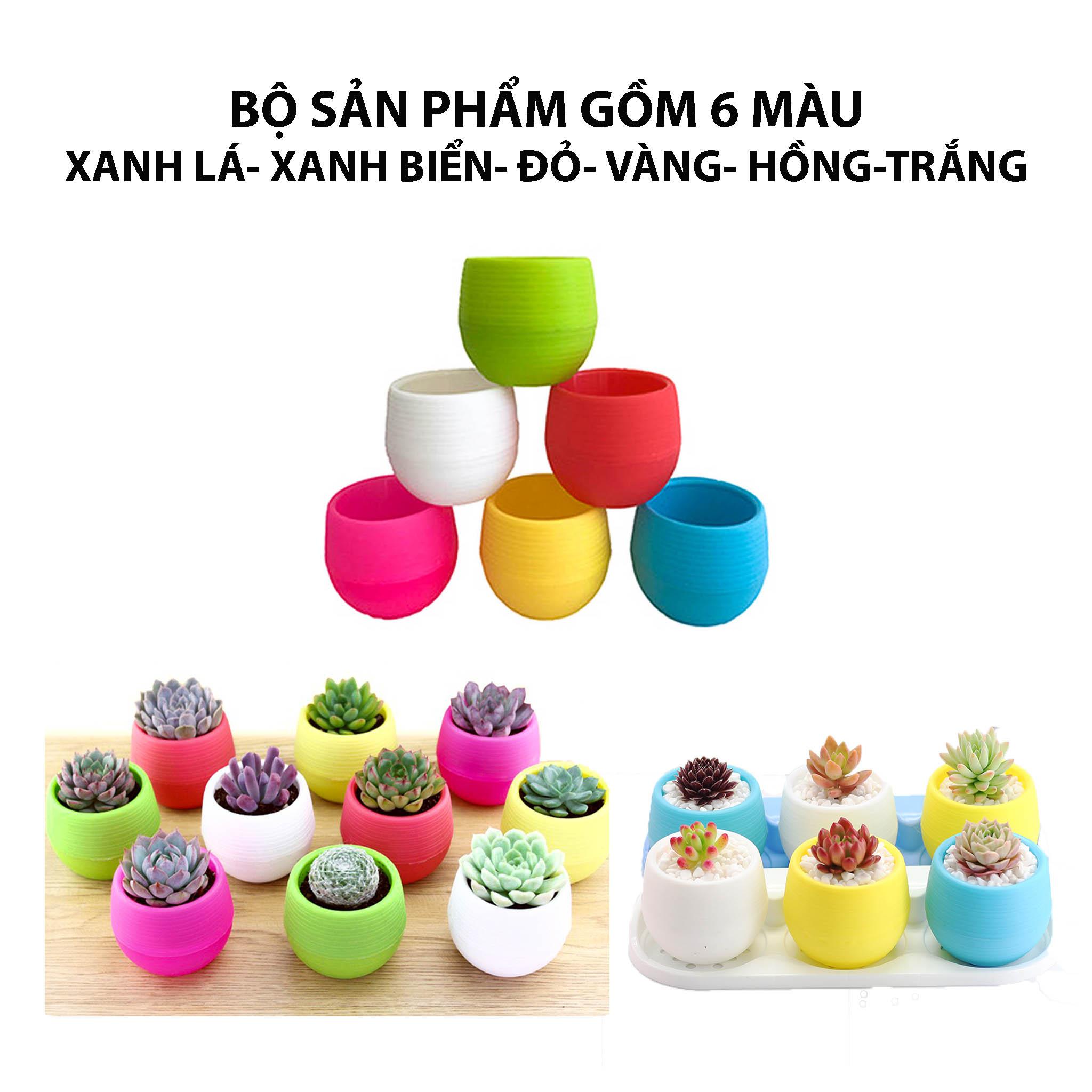 Chậu Trồng Sen Đá Mini TH Garden - Có Đáy Trữ Nước, Trồng Sen Đá, Xương Rồng Cực Đẹp - Sử Dụng Decor Phòng, Trang Trí Sân Vườn
