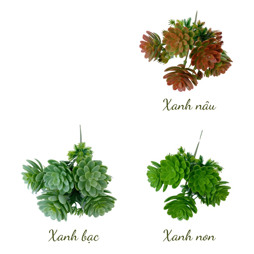 Cụm hoa sen đá giả, sen đá nhựa cắm điểm decor siêu đẹp