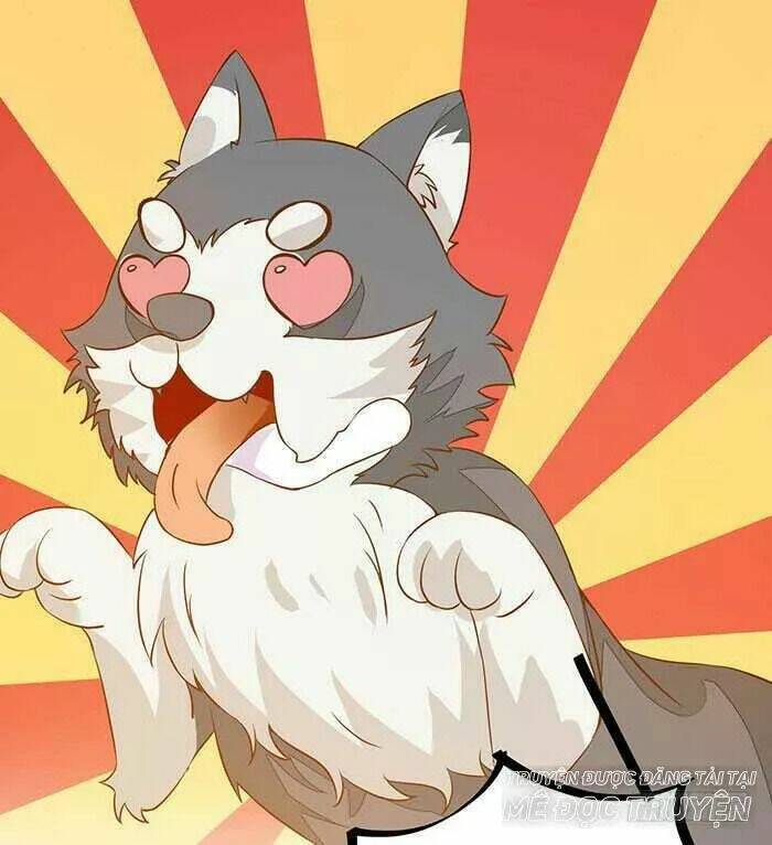 công chúa là nam nhân chapter 17.2 11