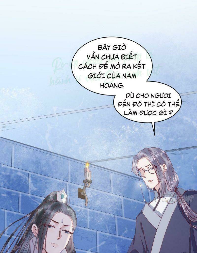 sát thủ vương phi không dễ chọc chapter 35 43