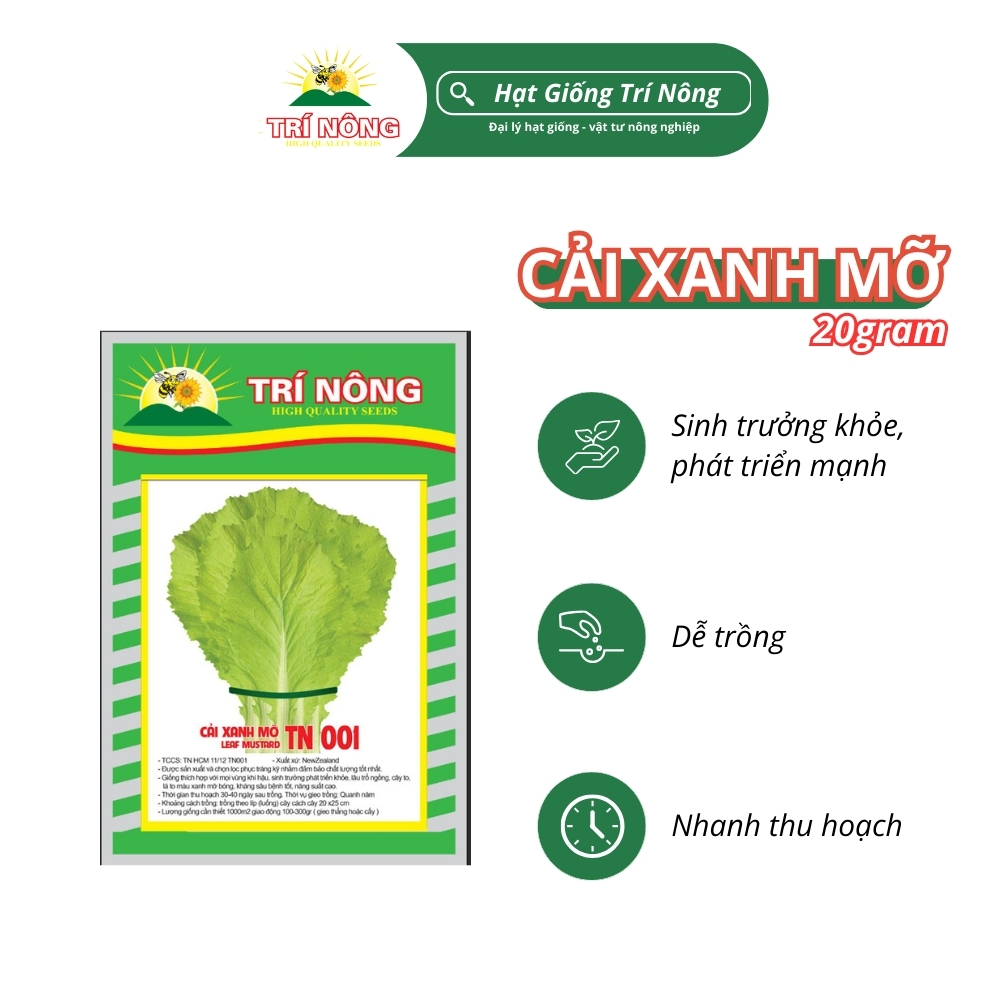 Hạt Giống Cải Bẹ Xanh Mỡ Trí Nông , TN001, Dễ Trồng, Dễ Chăm Sóc, Nhanh Thu Hoạch, Thời gian mọc 30 ngày, Gói 20gram