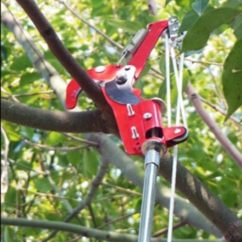 Đầu kéo tỉa cành, cắt cành cây trên cao,hái quả ,kết hợp cưa cành – Tặng đôi găng tay làm vườn chuyên dụng