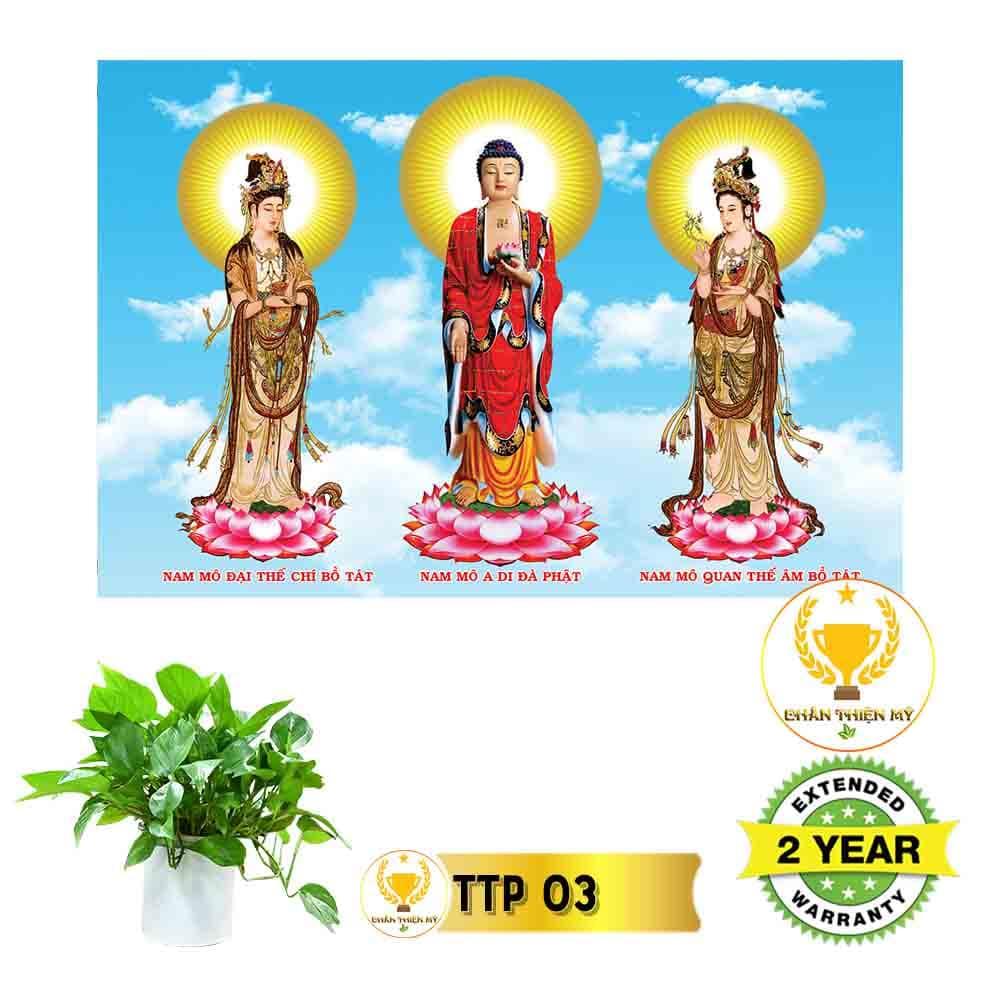 Tranh Tam Thế Phật có khung_TTPK1
