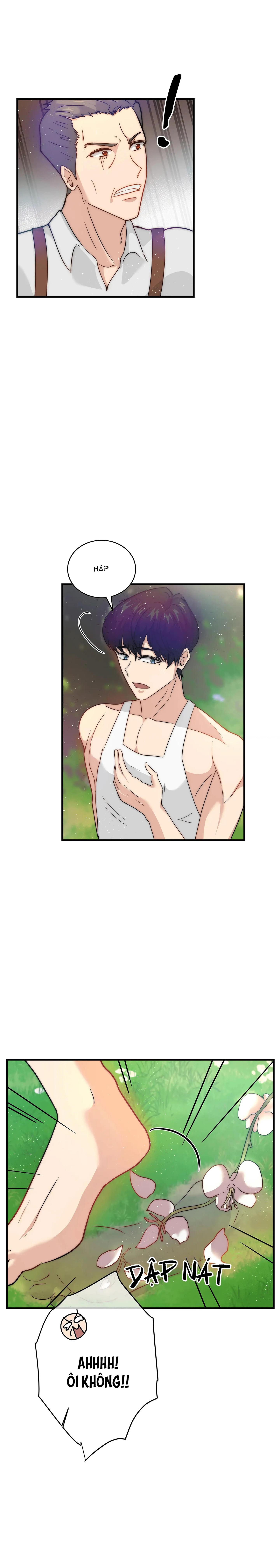 cinderella chapter 5 3