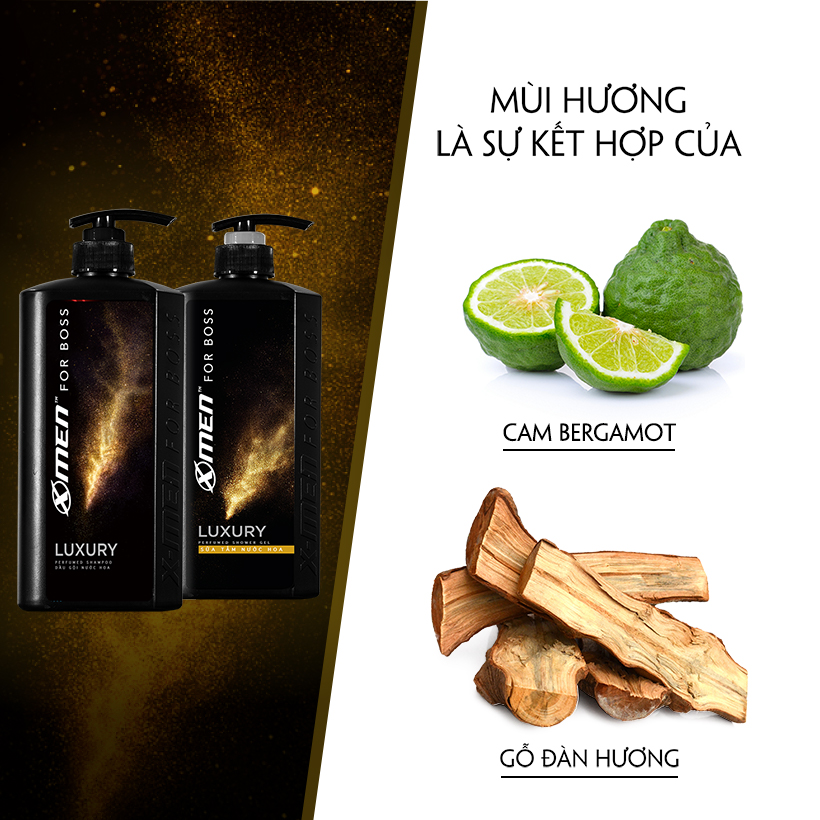 Combo Dầu gội nước hoa X-Men for Boss Luxury 650g + Sữa tắm nước hoa X-Men for Boss Luxury 650g