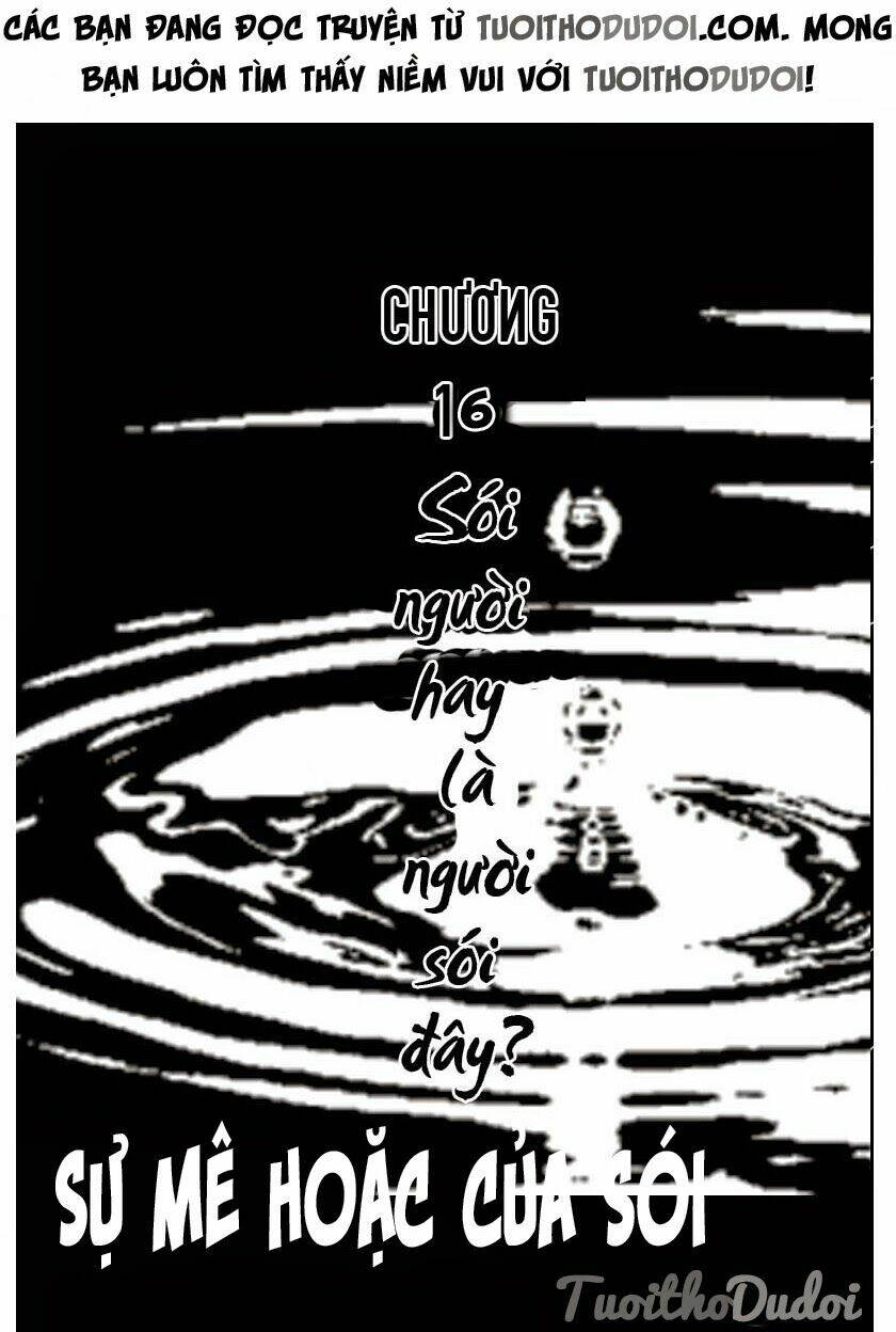 sự mê hoặc của sói chapter 16 1