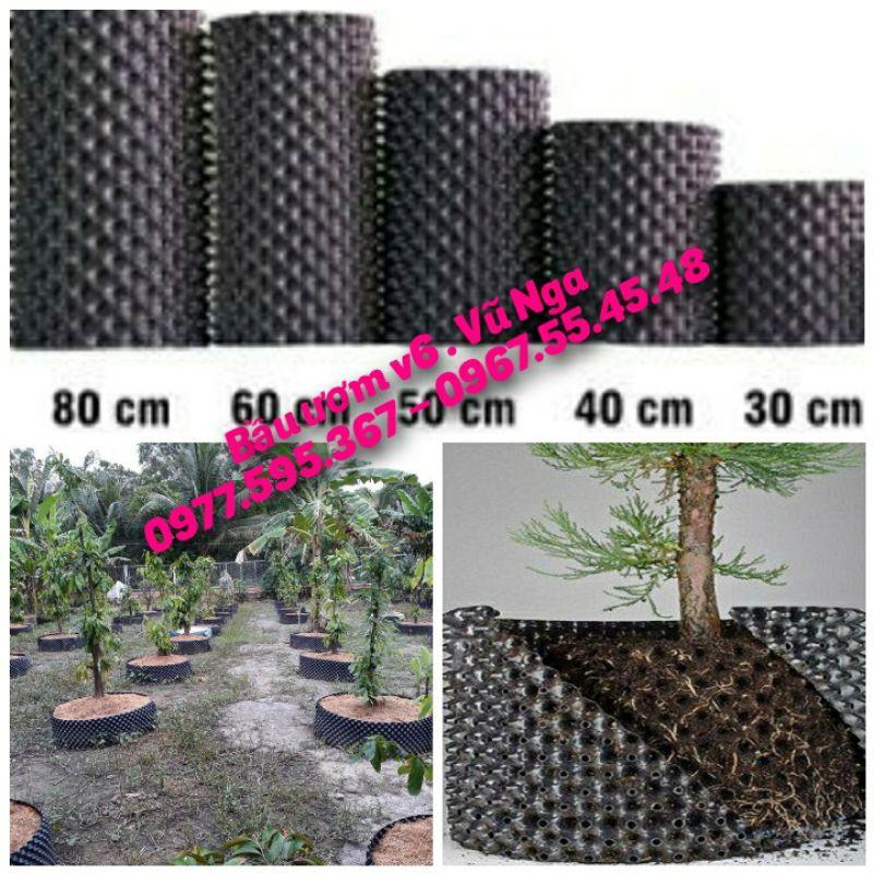 Bầu ươm V6 loại 20cm dài 50m dày 0.7mm