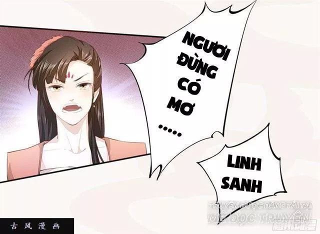 tuyệt thế luyện đan sư chapter 24 6