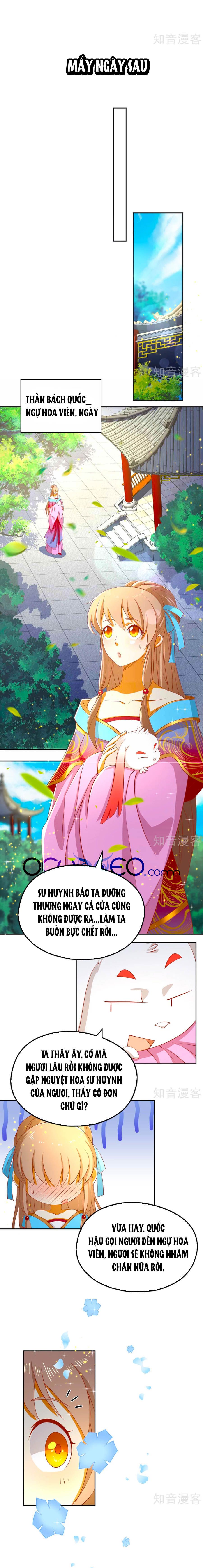 Khuynh Thành Cuồng Phi Của Tà Vương chapter 104 - Trang 3