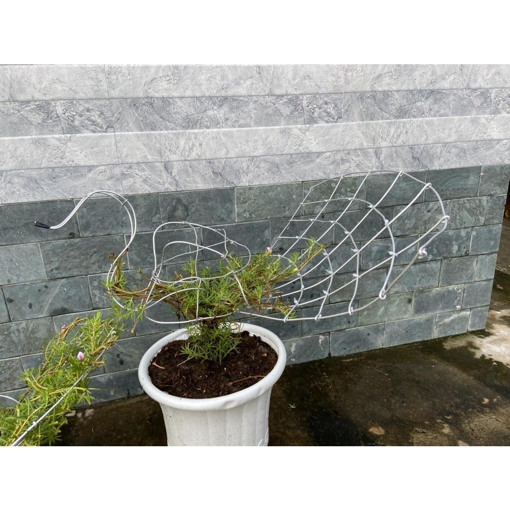 Khung Giá Đỡ Tạo Hình BonSai Hoa Mười Giờ , Cây Cảnh Khung Đỡ Không Rỉ Sét Tạo Dáng Cây Cảnh Bon Sai
