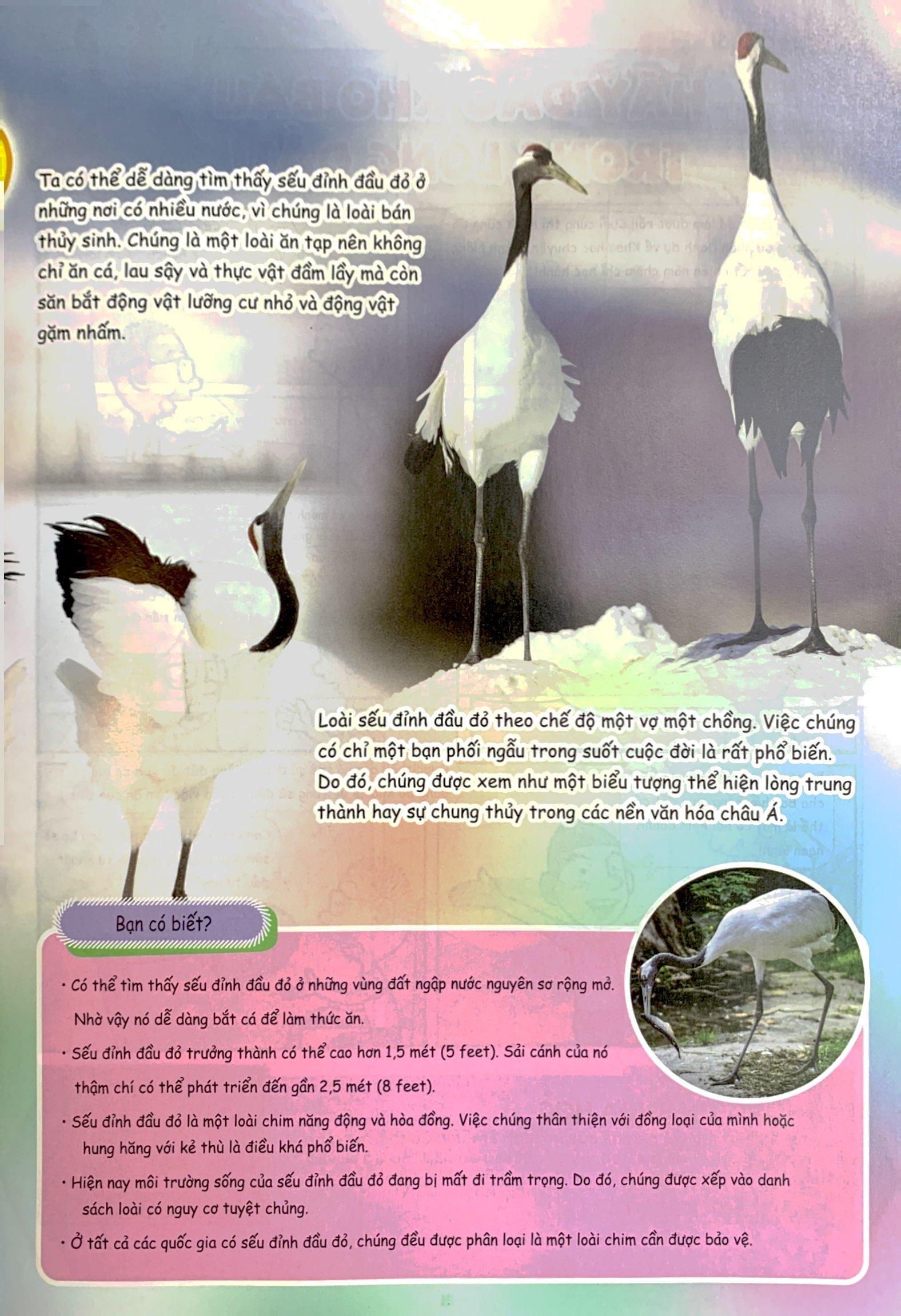 The Young Scientist - Truyện Tranh Khoa Học Cho Trẻ Em - Level 3 - Tập 3: Cá Quái Vật Trên Đồng Lúa