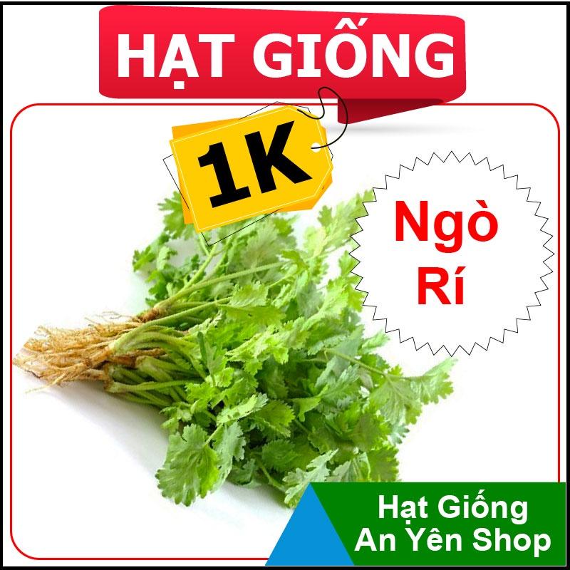 Hạt Giống 1K trồng thử Rau Ăn Lá, năng suất cao, dễ trồng, thu hoạch sớm