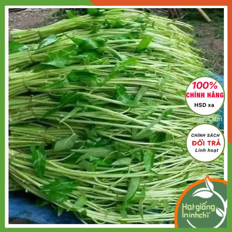 Hạt rau muống siêu ngọn Thái lan F1, Gói 30 Gram, Rau củ quả trồng sân thượng, tại vườn, ban công.