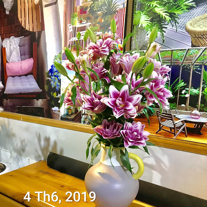 Bột Cắm Hoa Lily Tươi Lâu, Hiệu Longlife nhập khẩu Isarel