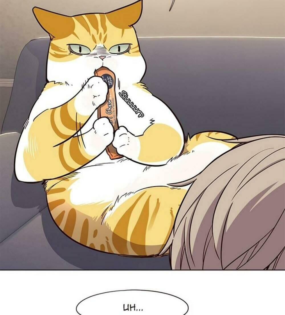 biến thân thành mèo chapter 19 31