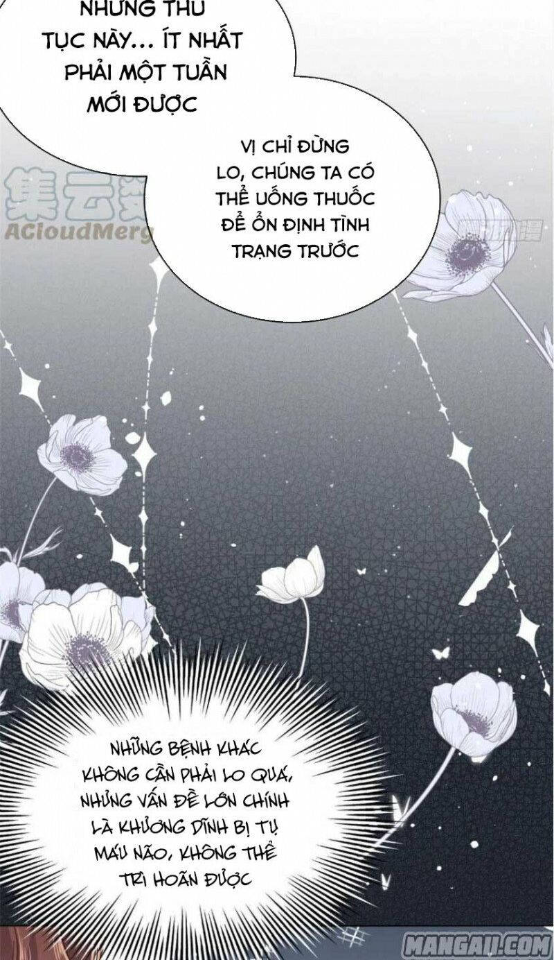 đoàn sủng lão đại ba tuổi rưỡi chapter 53 16