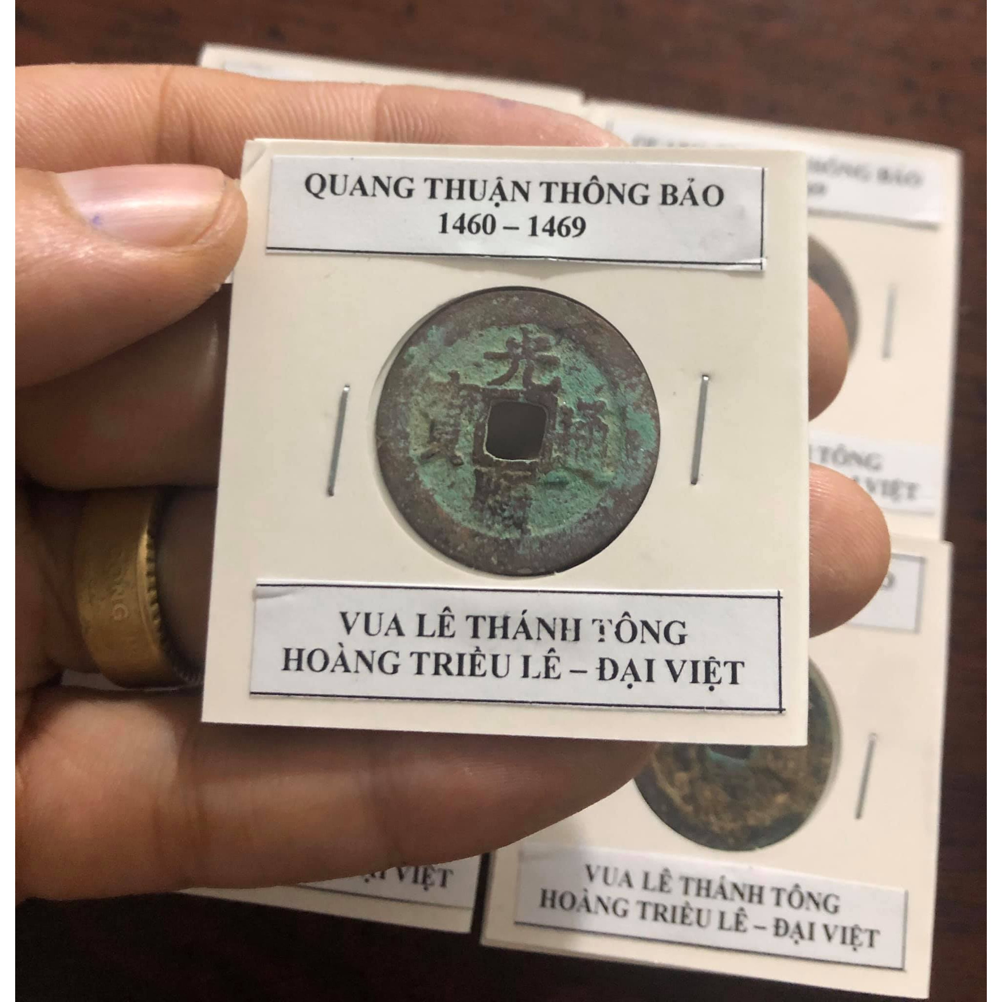 Xu lỗ Vuông, QUANG THUẬN THÔNG BẢO, vua LÊ THÁNH TÔNG, Hoàng Triều Lê, Đại Việt