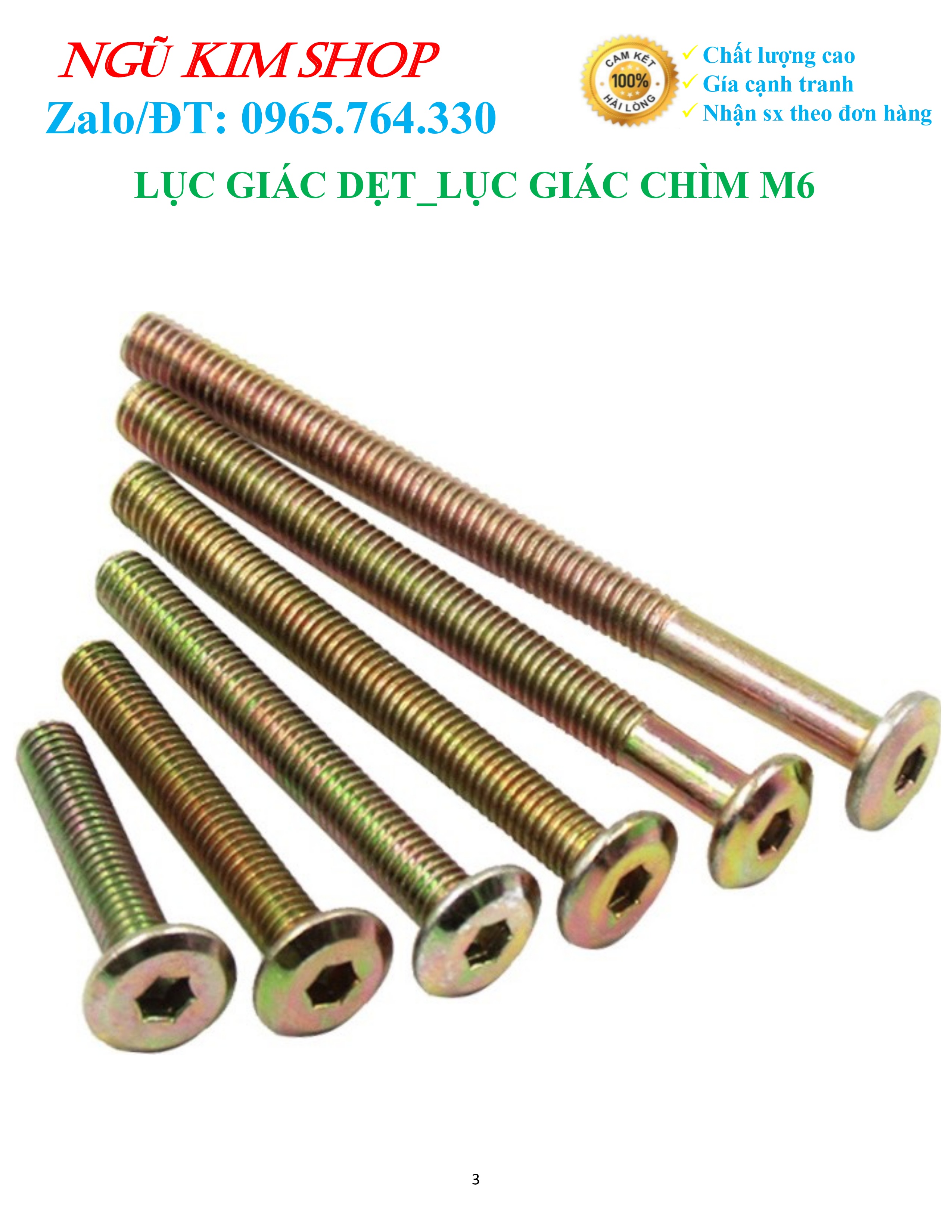 LỤC GIÁC DẸP _ BULONG LỤC GIÁC CHÌM M6 x L