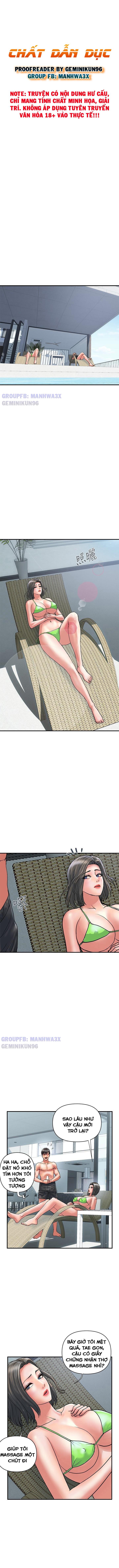 chất dẫn dục chapter 29 1