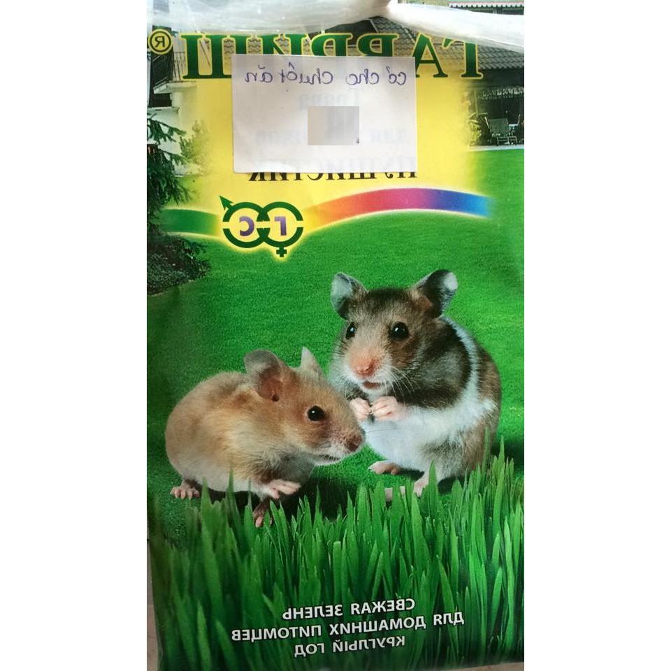 Hạt giống cỏ lúa mì lúa mạch ( cho thú cưng chó mèo chim hamster ) - 1 gói 100gram