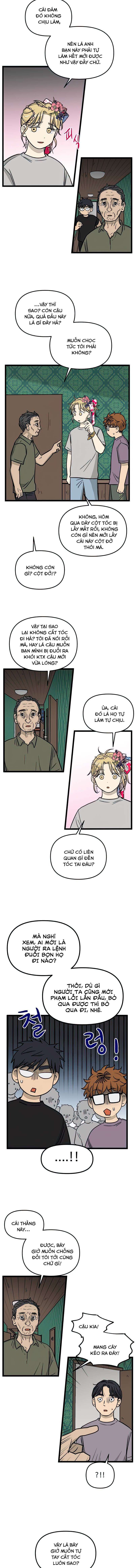 no home - không nhà chapter 138 8
