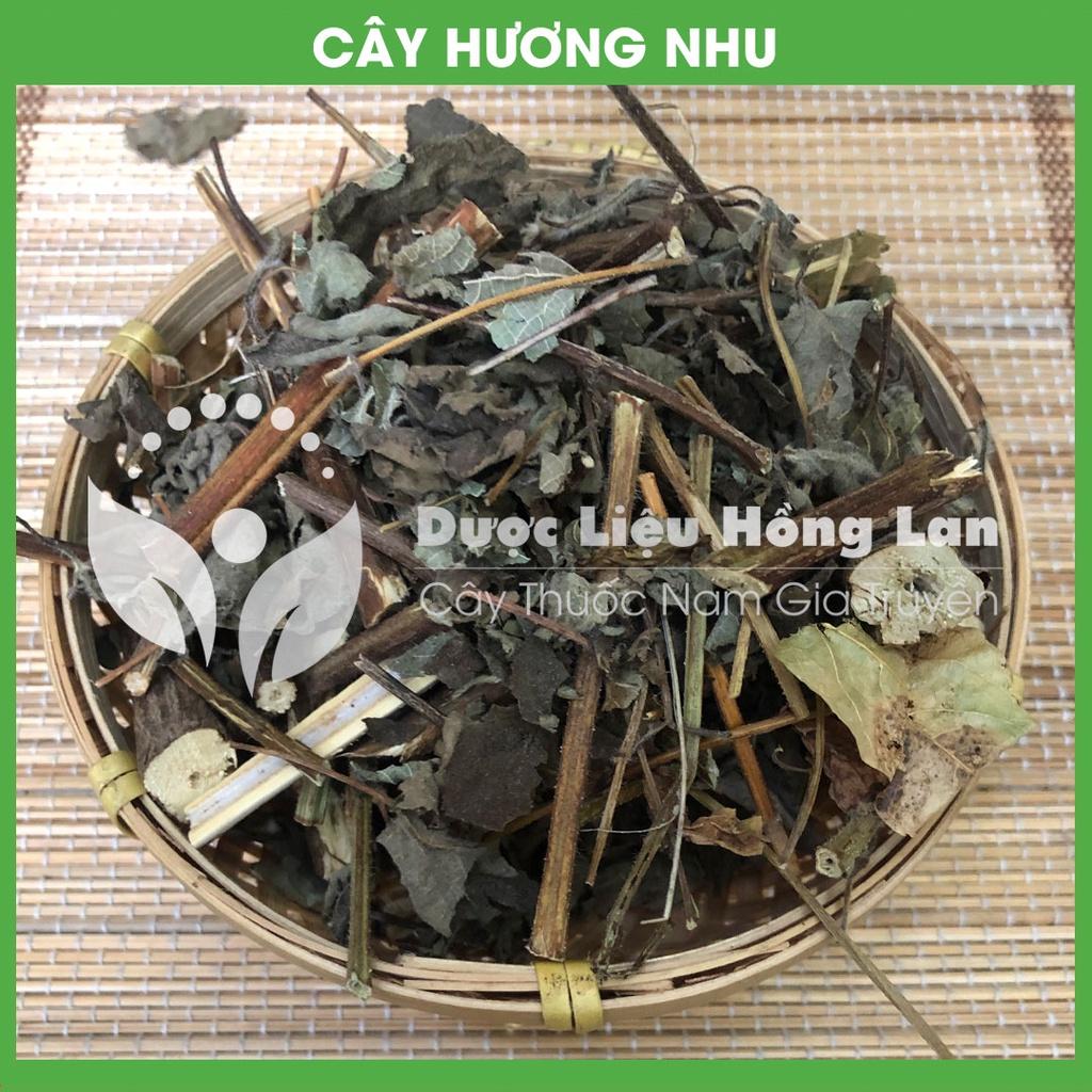 CÂY HƯƠNG NHU khô đóng gói 1kg - congtyduoclieuhonglan