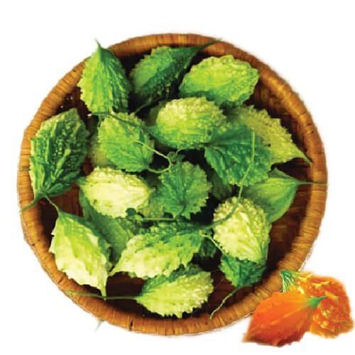 Hạt giống Khổ qua rừng