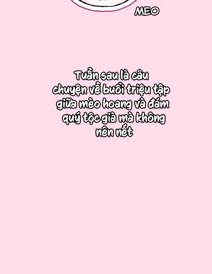 cha, con không muốn kết hôn đâu chapter 103 137