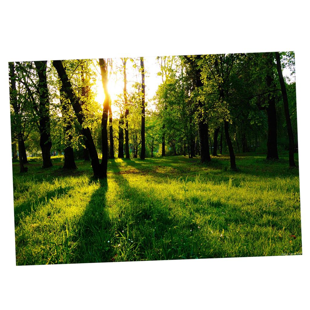 Aquarium Background Adhesive Poster Fish Tank Wall Decorations Sticker