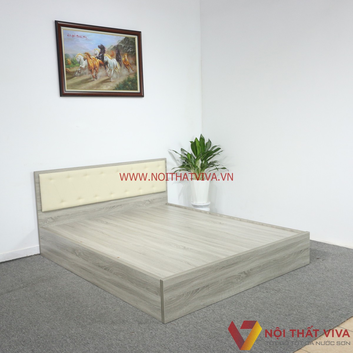 Giường Ngủ Gỗ MDF Melamine Màu Xám Vân Gỗ Có Đầu Nệm Kem Đẹp Hiện Đại