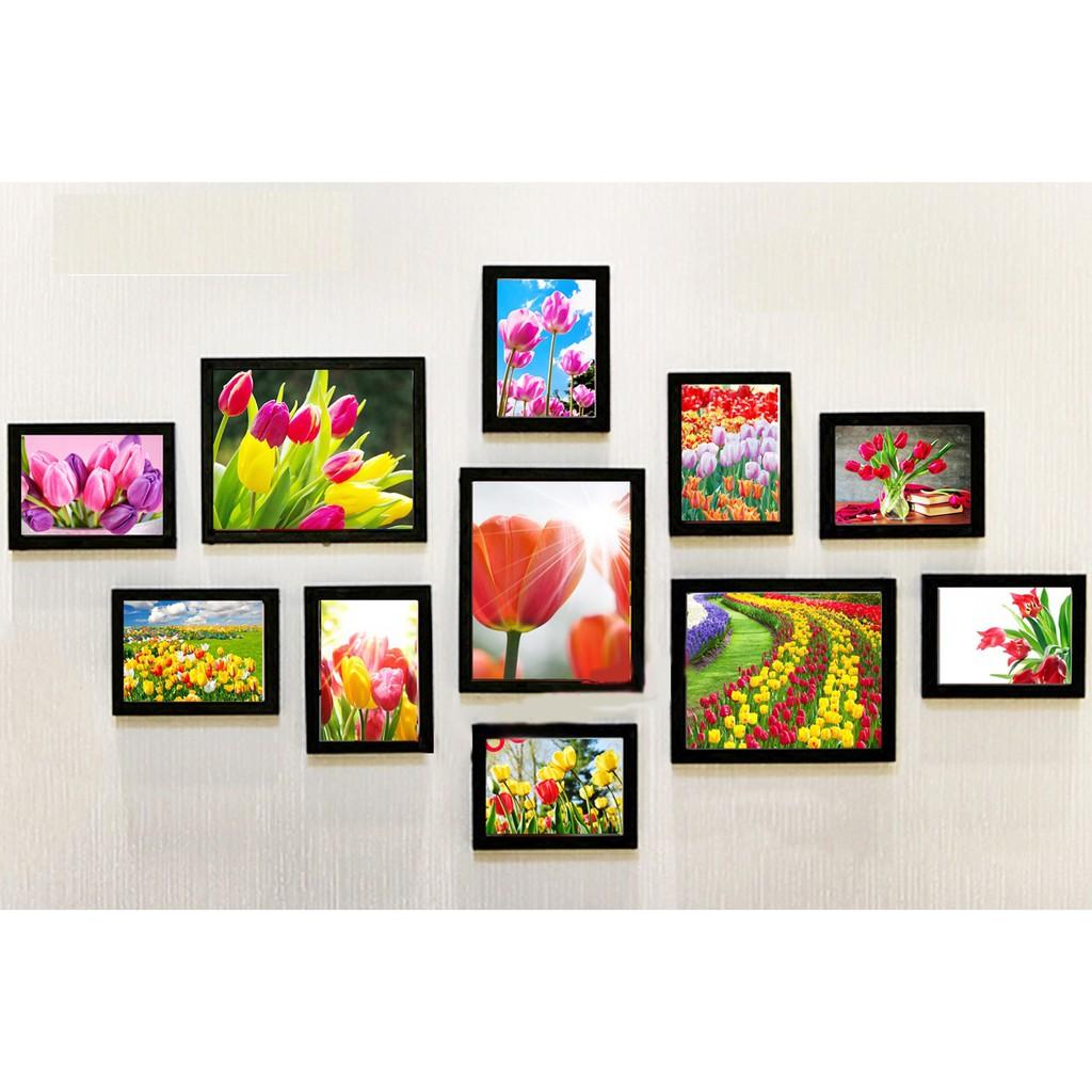 Combo 11 hình nghệ thuật 13x18cm và 20x25cm lắp cho bộ 11 khung hình Ka020.