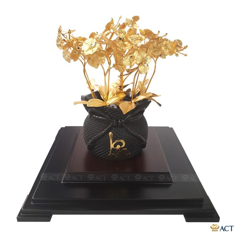 CHẬU LAN HỒ ĐIỆP 12 CÀNH