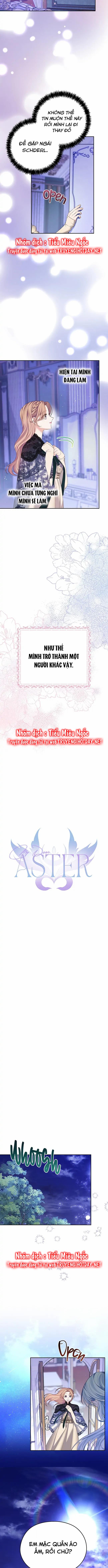 aster yêu dấu của tôi chapter 47 6