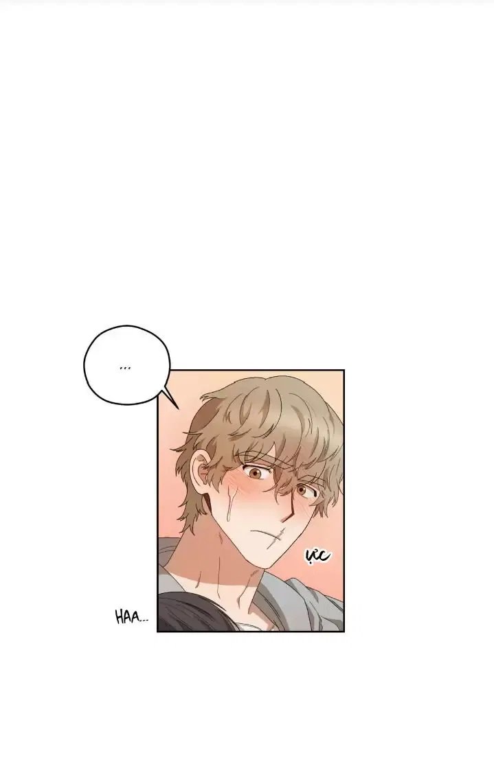 liveta chapter 18 21